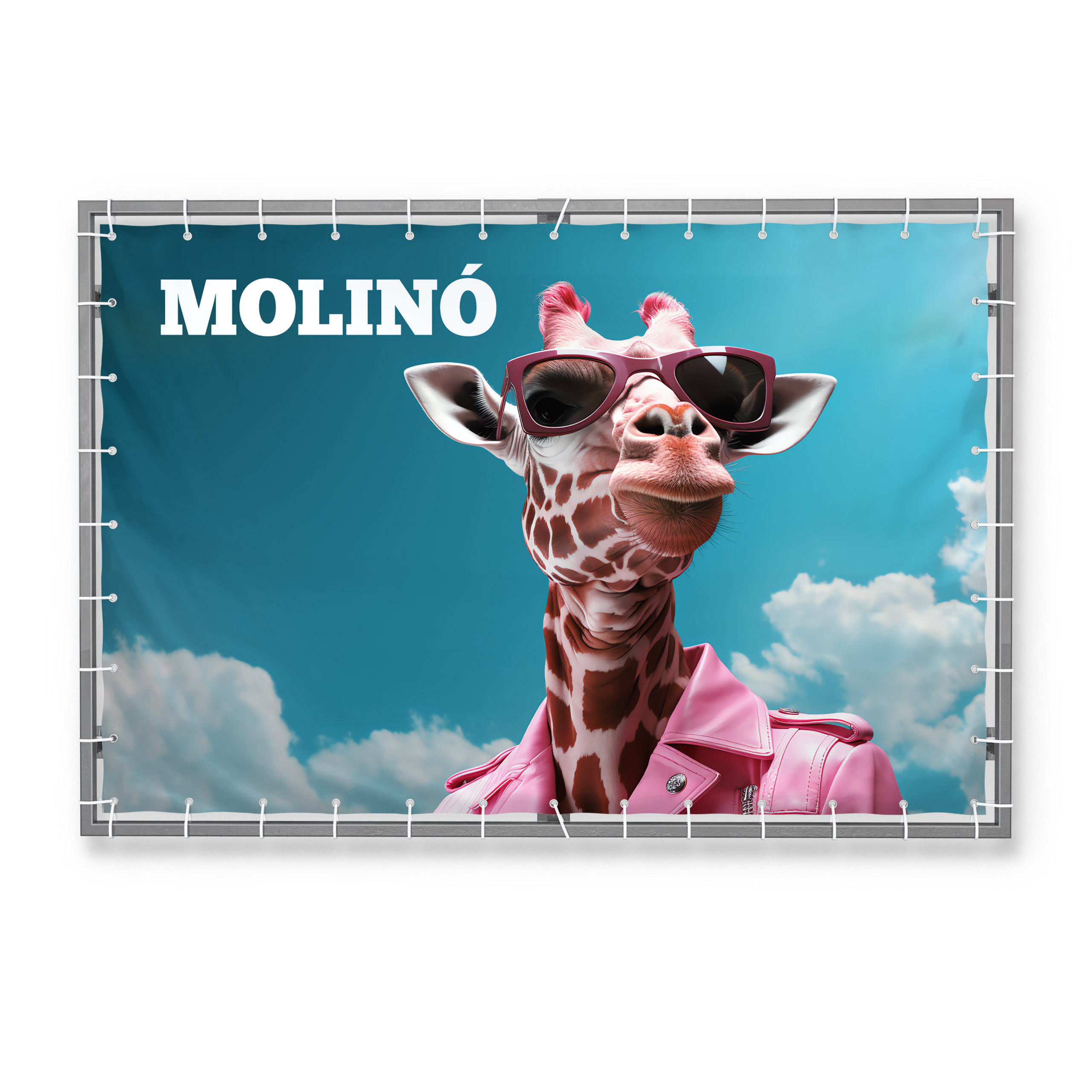 Molino